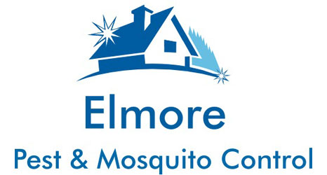 Pest Control & Insect Exterminator | Pittsboro, Sanford ...