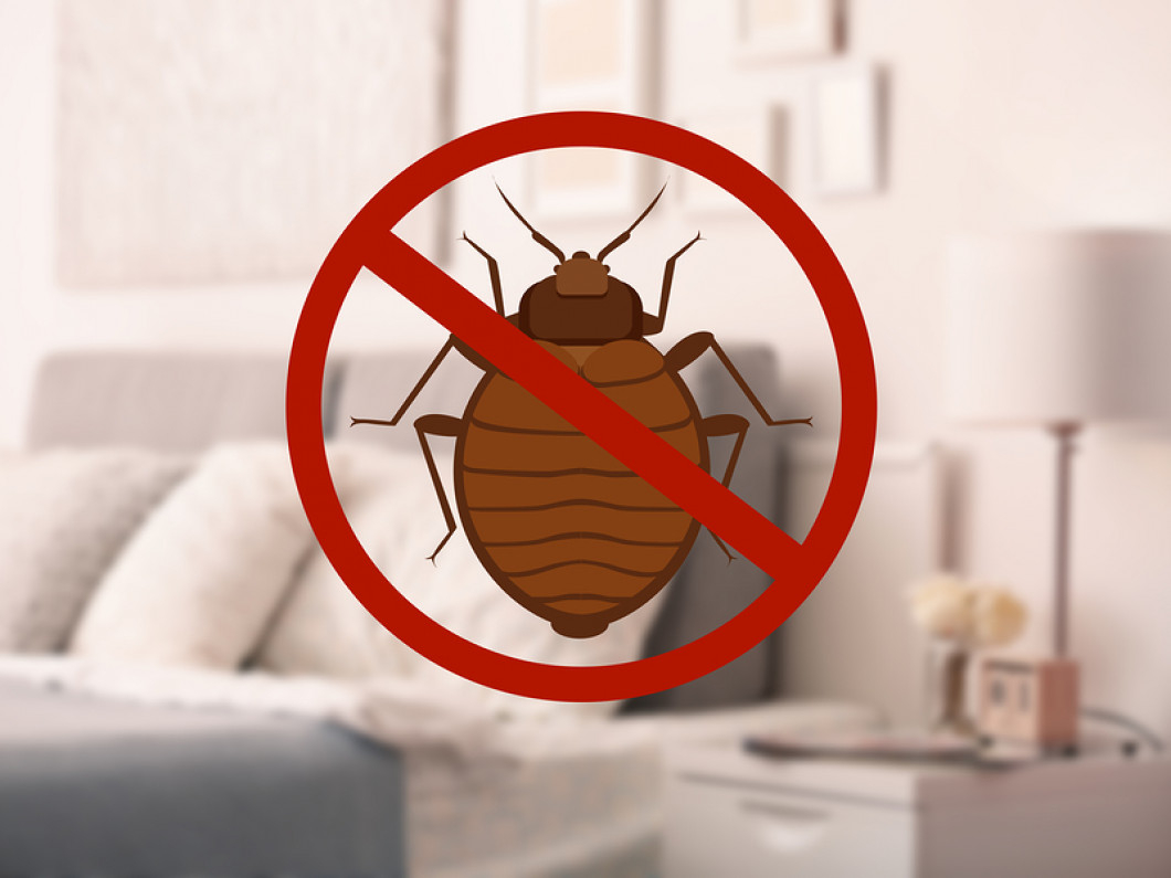 Bedbug Inspections | Pittsboro, Sanford & Siler City, NC | Elmore Pest ...